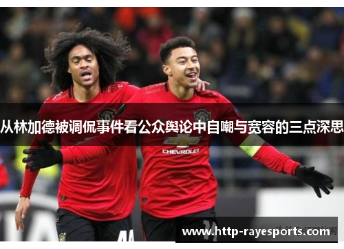 从林加德被调侃事件看公众舆论中自嘲与宽容的三点深思