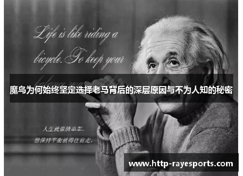 魔鸟为何始终坚定选择老马背后的深层原因与不为人知的秘密